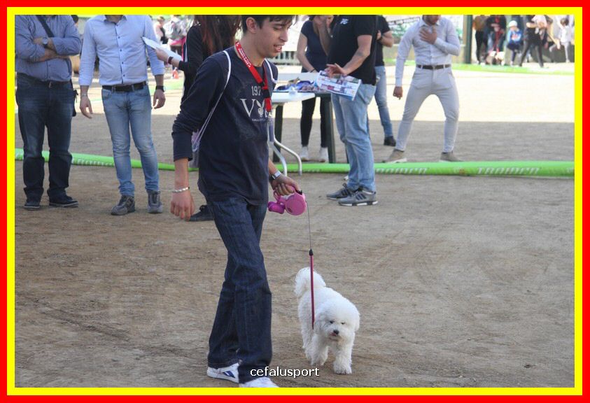 180311 mostra_canina 038.jpg